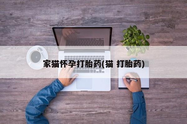堕胎药在线付款家猫怀孕打胎药(猫 打胎药)